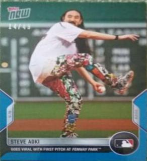 Steve Aoki