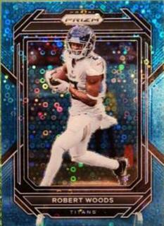 Robert Woods
