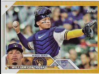 William Contreras