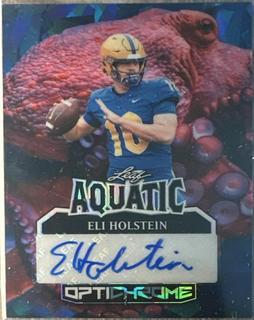 Eli Holstein