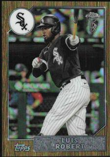 Luis Robert