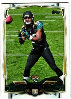 Allen Robinson