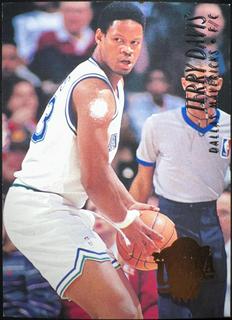 Terry Davis