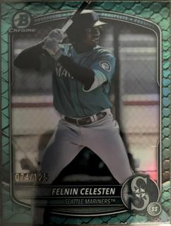 Felnin Celesten