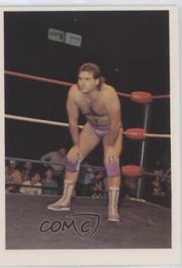 Larry Stephens #45 Wrestling Cards 1988 Wonderama NWA