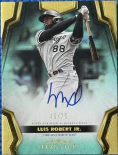 Luis Robert Jr.