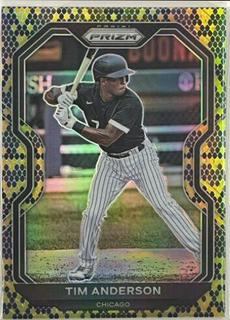 Tim Anderson