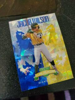 Jacob Wilson