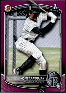 Ashly Andujar