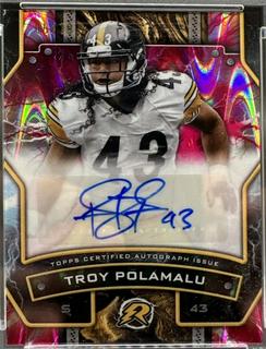 Troy Polamalu