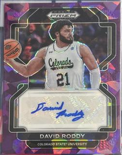 David Roddy