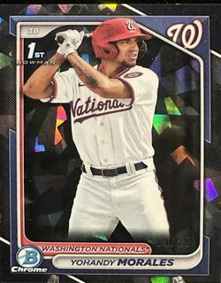 Yohandy Morales