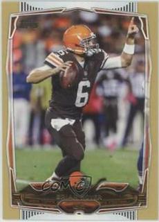 Brian Hoyer