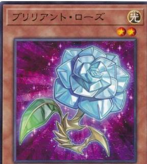 Brilliant Rose POTE-JP021