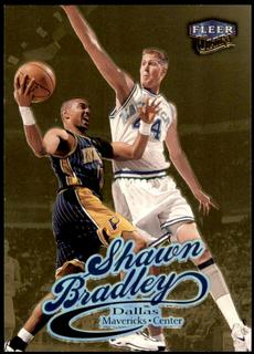 Shawn Bradley
