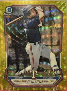 Gavin Fien
