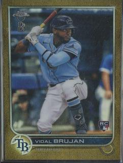 Vidal Brujan