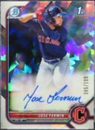 Jose Fermin