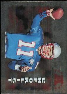 Drew Bledsoe