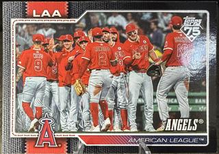 Team Card