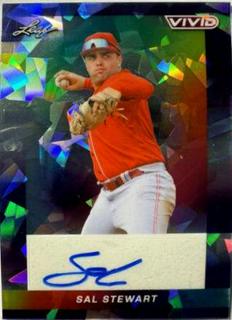 Sal Stewart