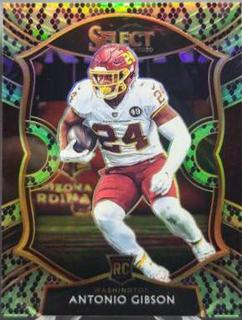 Antonio Gibson