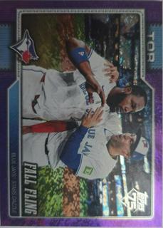 Vladimir Guerrero Jr.