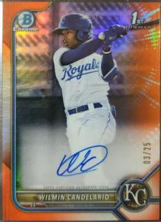 Wilmin Candelario