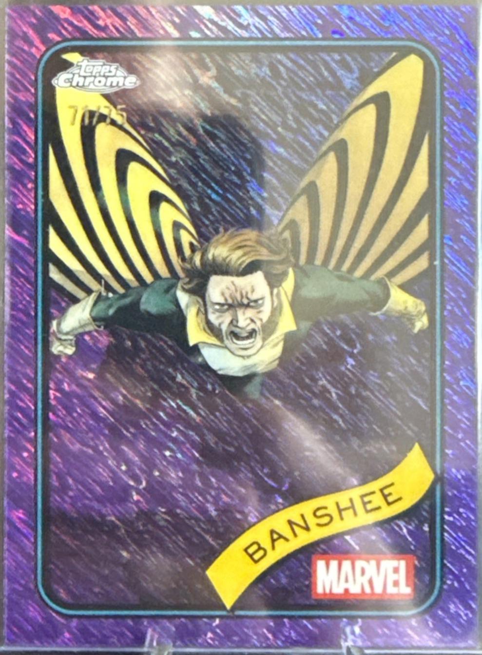 Banshee [Purple Shimmer] #38