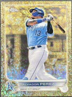 Salvador Perez