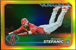 Michael Stefanic