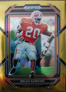 Brian Dawkins