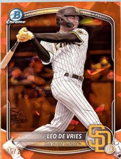 Leo De Vries