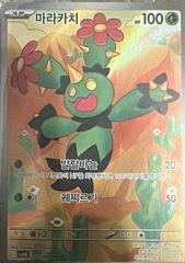 Maractus 6