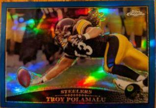 Troy Polamalu