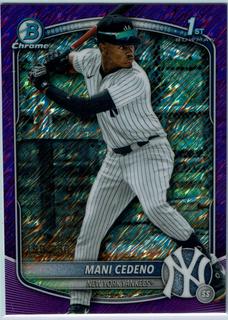 Mani Cedeno