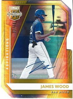 James Wood