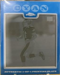 DeSean Jackson