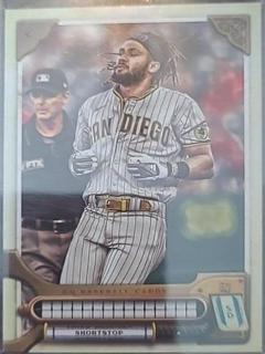 Fernando Tatis Jr.