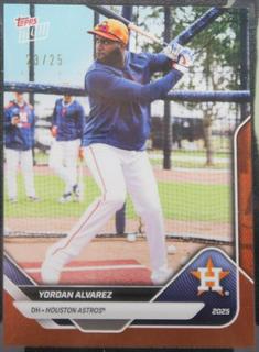 Yordan Alvarez