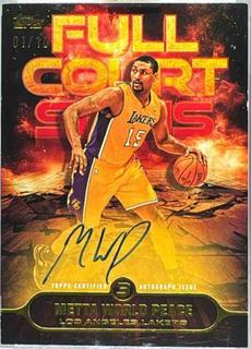 Metta World Peace