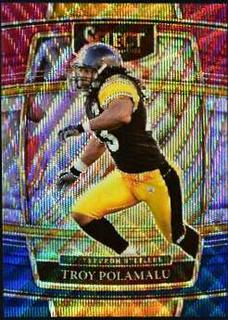 Troy Polamalu