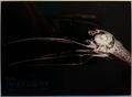 thumbnail cover art