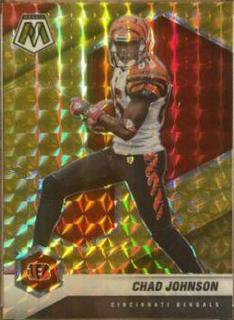 Chad Johnson