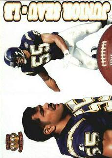 Junior Seau