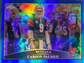 Carson Palmer