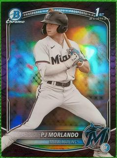 PJ Morlando