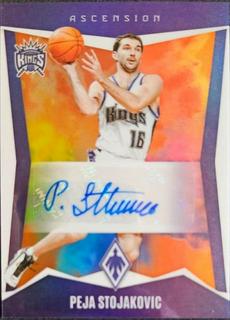 Peja Stojakovic