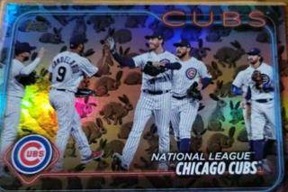 Chicago Cubs