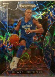 PJ Washington Jr.